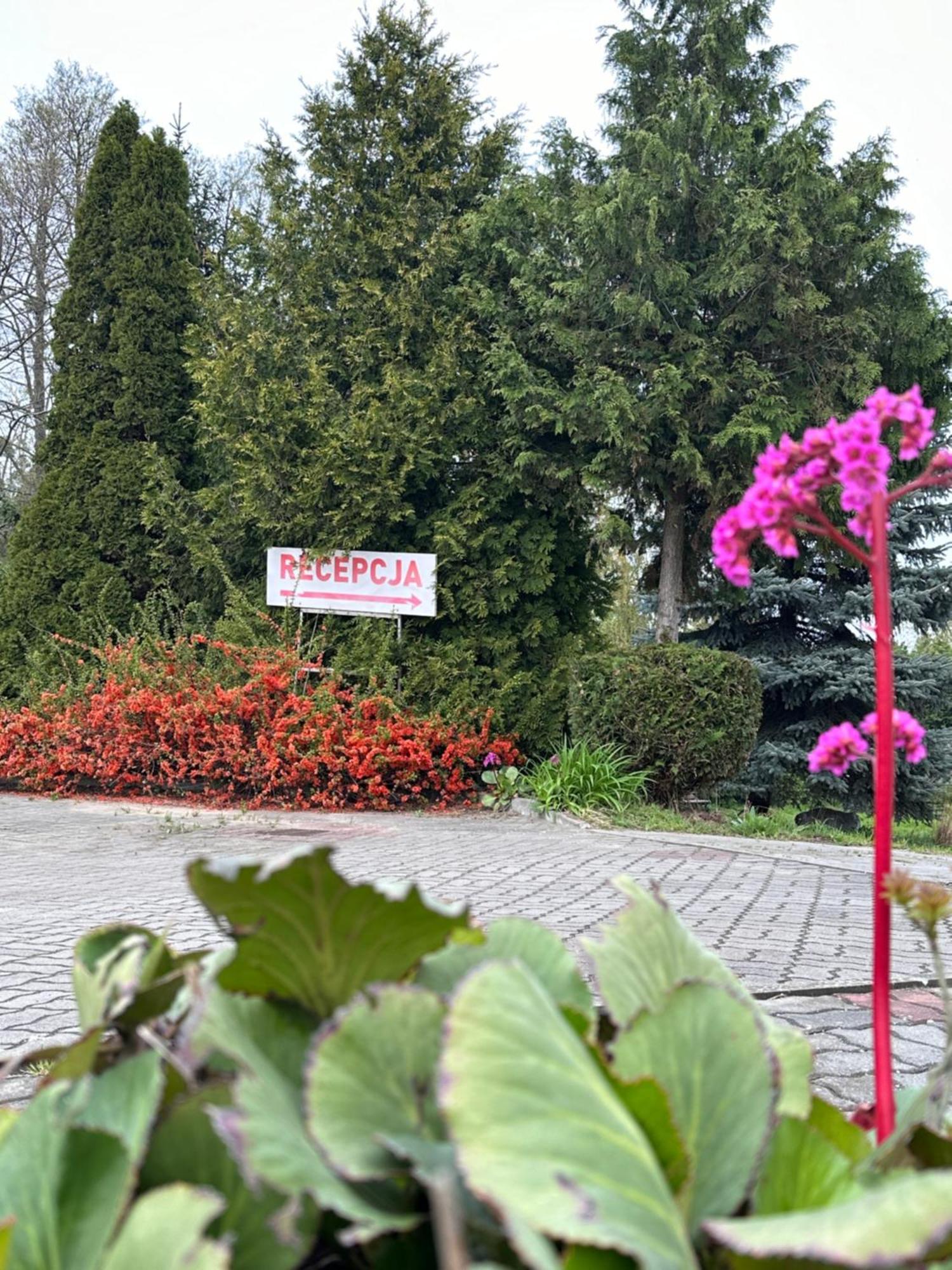 Karat Gasthof Malbork